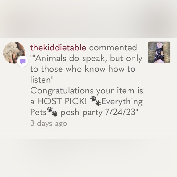 🐾🦴HOST PICK🦴🐾FEMALE DOG WINTER COAT PINK/BLACK VELCRO, LEASH SNAP (NO LEASH) - Picture 2 of 9